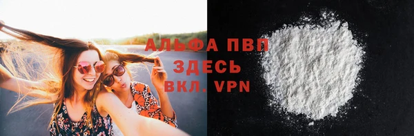 твердый Ладушкин